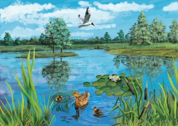 Водоемы для дошкольников