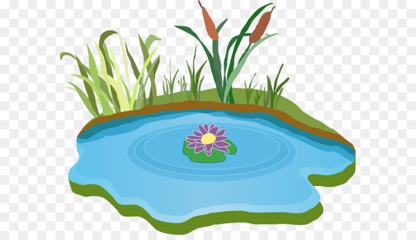 Болото мультяшное