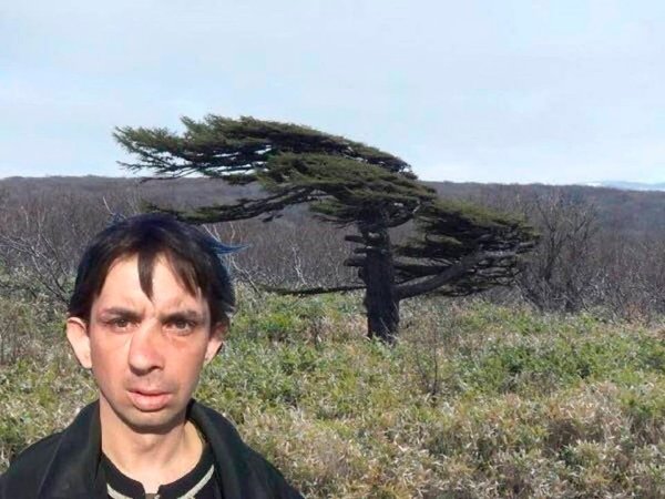 Сильный ветер смешное