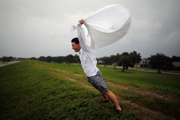 Сильный ветер смешное