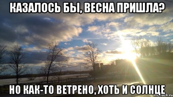 Ветрено Мем