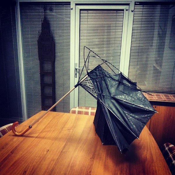 Легкий ветерок прикол