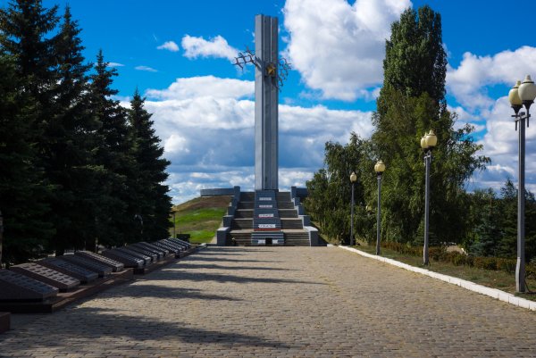 Соколовая гора Саратов парк