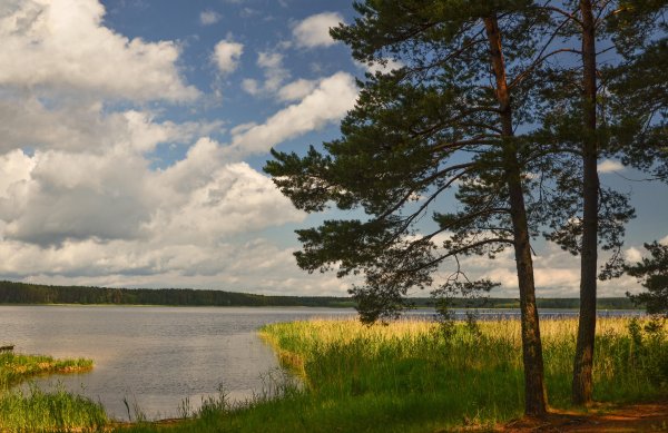 Селигер природа