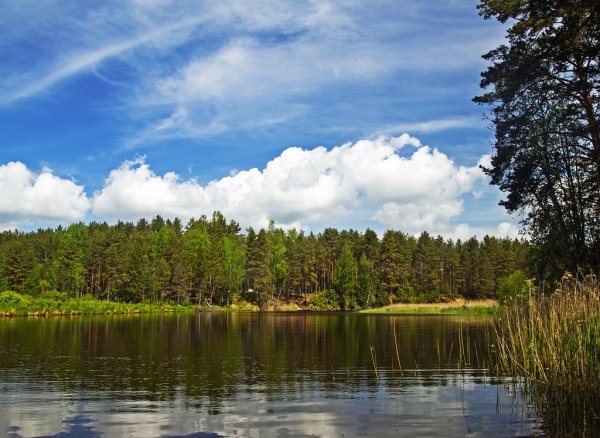 Озеро Селигер природа