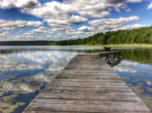 Березовый рядок Селигер