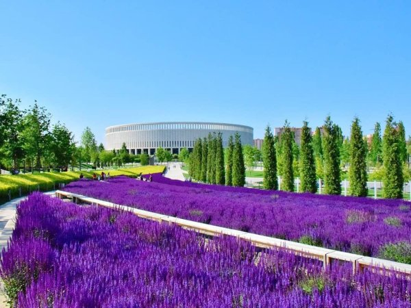 Стадион Краснодар парк Галицкого