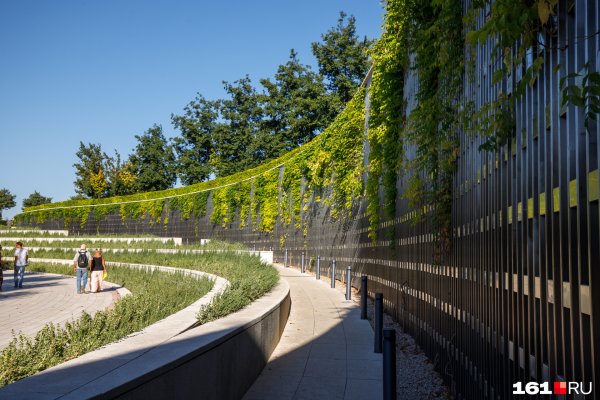 Парк Галицкого Озеленение