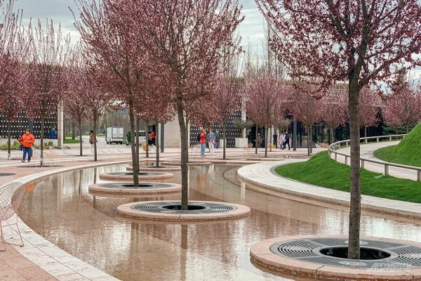 Парк Галицкого в Краснодаре 2021