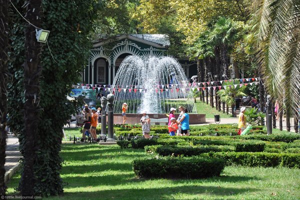 Сочи Центральный парк Ривьера