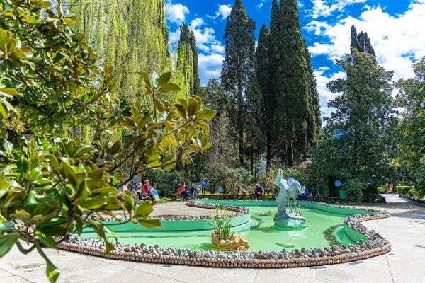 Давид Согоян Сочи Ривьера