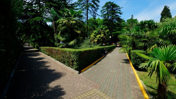 Город Сочи парк Ривьера