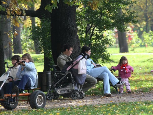 Прогулка родителей с детьми в парке