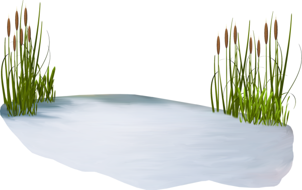 Пруд на белом фоне