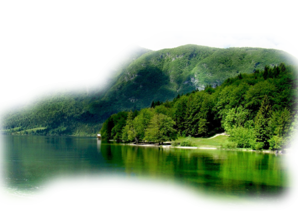 Озеро на прозрачном фоне
