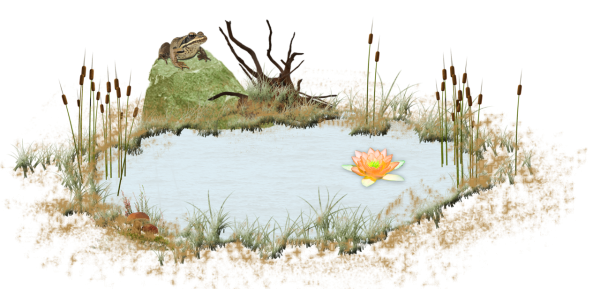 Болото без фона