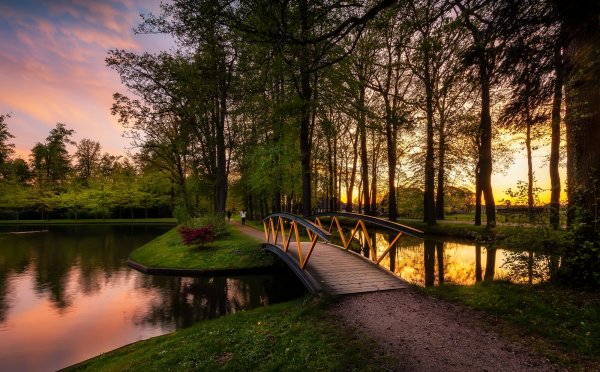 Красивые пейзажи с парком