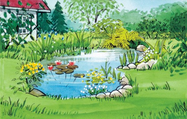 Водоем рисунок