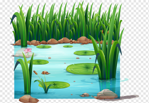 Болото для детей