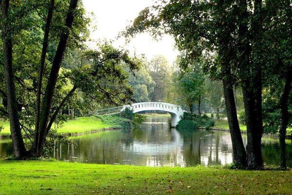 Красивый городской парк