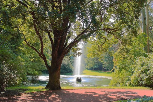 Изображение парка