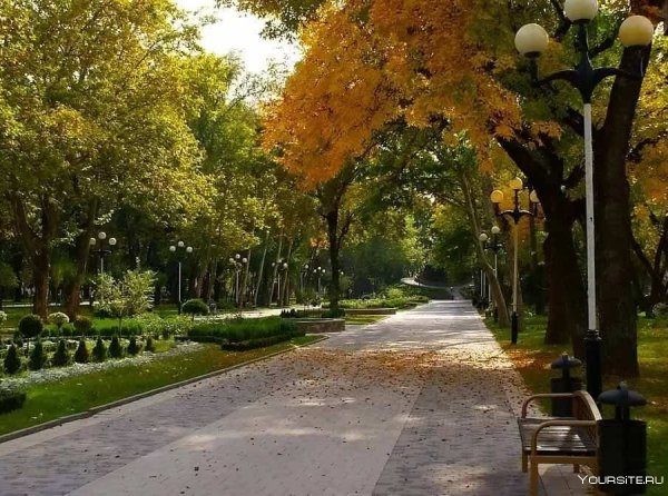 Сквер красная Краснодар