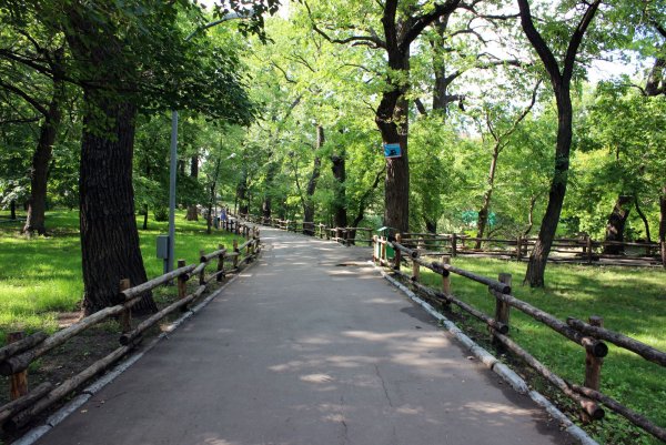 Городской парк им Горького Саратов