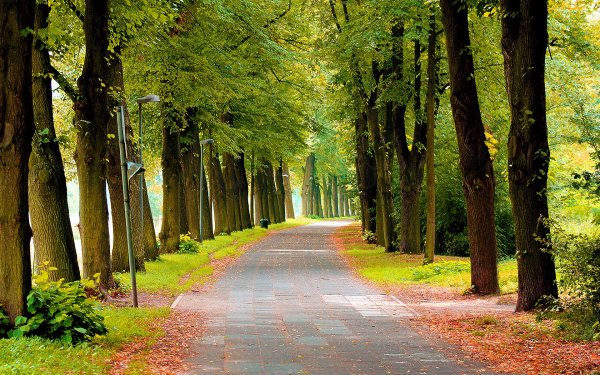 Второстепенные дороги, дорожки, аллеи