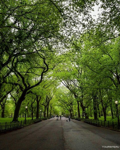 Красивый парк