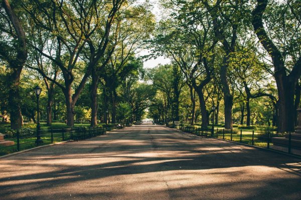 Эстетика парка