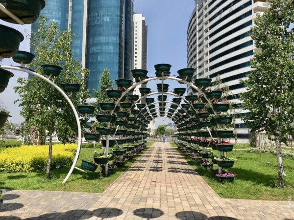 Город Грозный цветочный парк