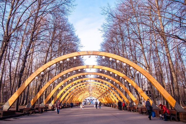 Сокольники аллея