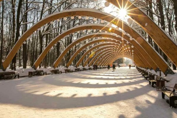 Парк Сокольники Центральная аллея