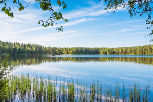 Лесное озеро Заболоцкий