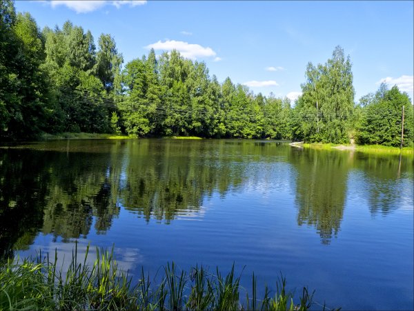 Новомарьевский лес Лесное озеро