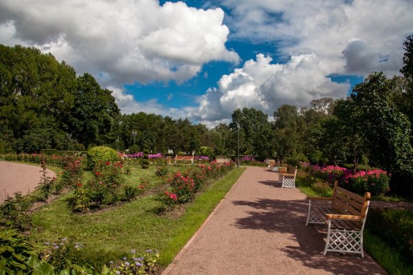 Большой розарий парка Сокольники