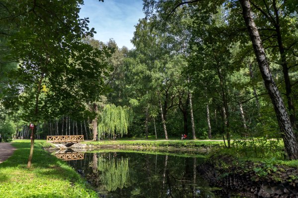 Московский парк Сокольники