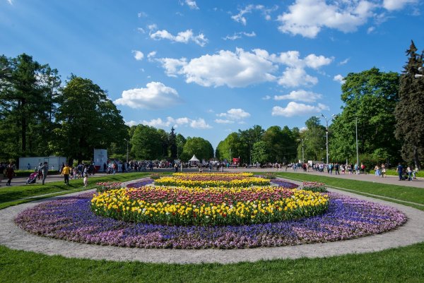 Московский парк Сокольники