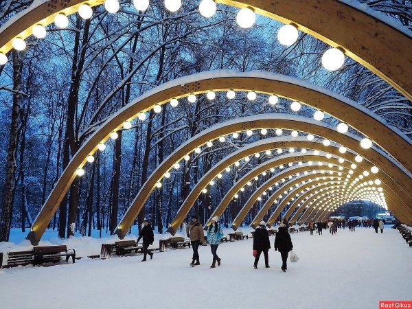 Московский парк Сокольники