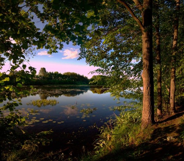 Тропинка к озеру