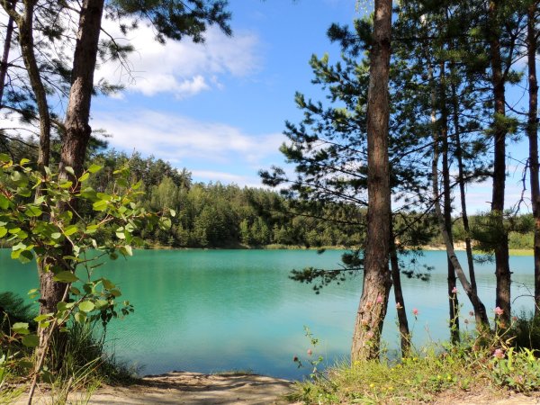 Озеро Лесное Чмурово