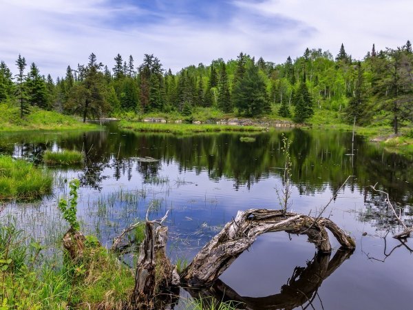 Семиозерье Карелия