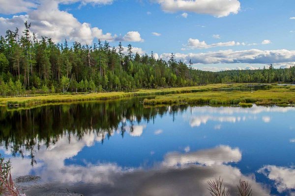 Маленькое Лесное озеро