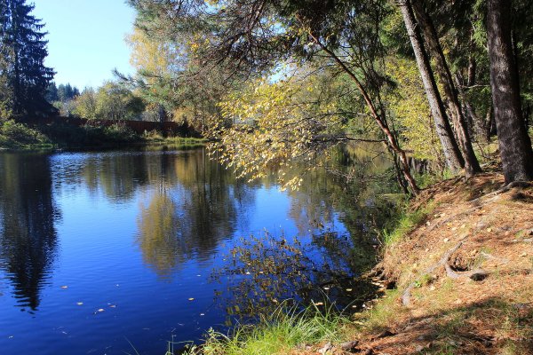 Лесное озеро