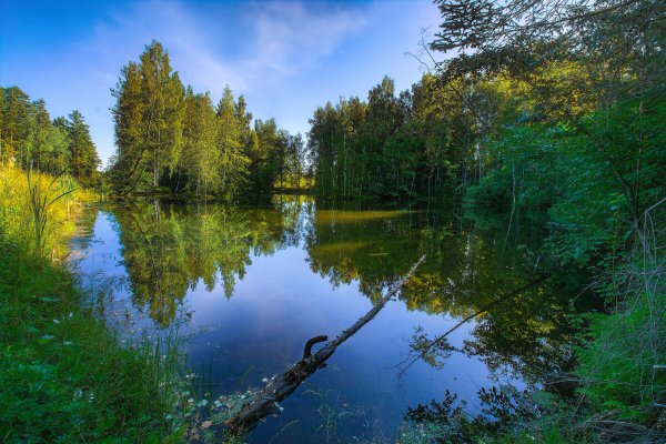 Озеро Лесное Набережные Челны