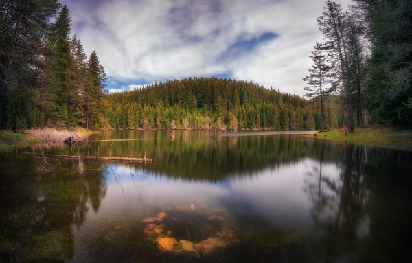 Лесное (озеро, Северная Америка)