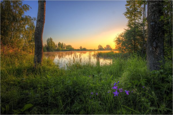 Лесное озеро