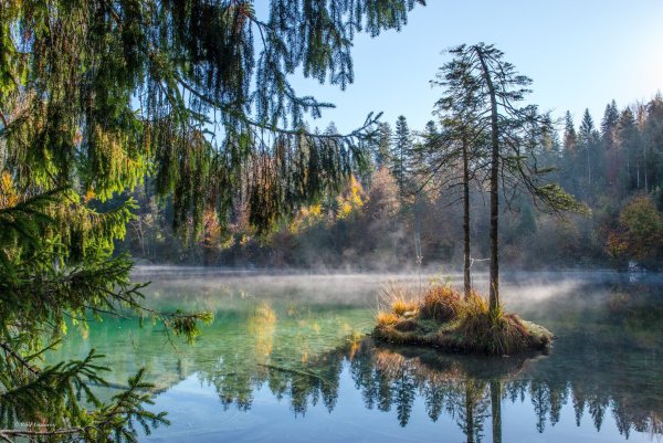 Лесное озеро Россия