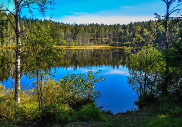 Маленькое Лесное озеро