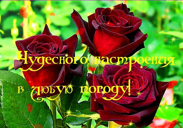Хорошего настроения в любою погоду